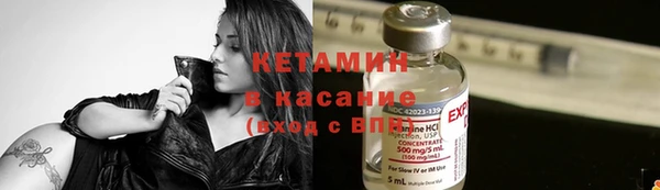 трава Осинники