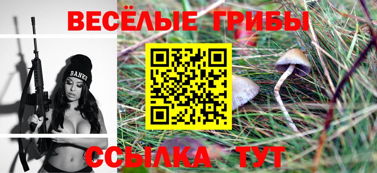 Майский  Галлюциногенные грибы ЛСД  Вход с VPN 